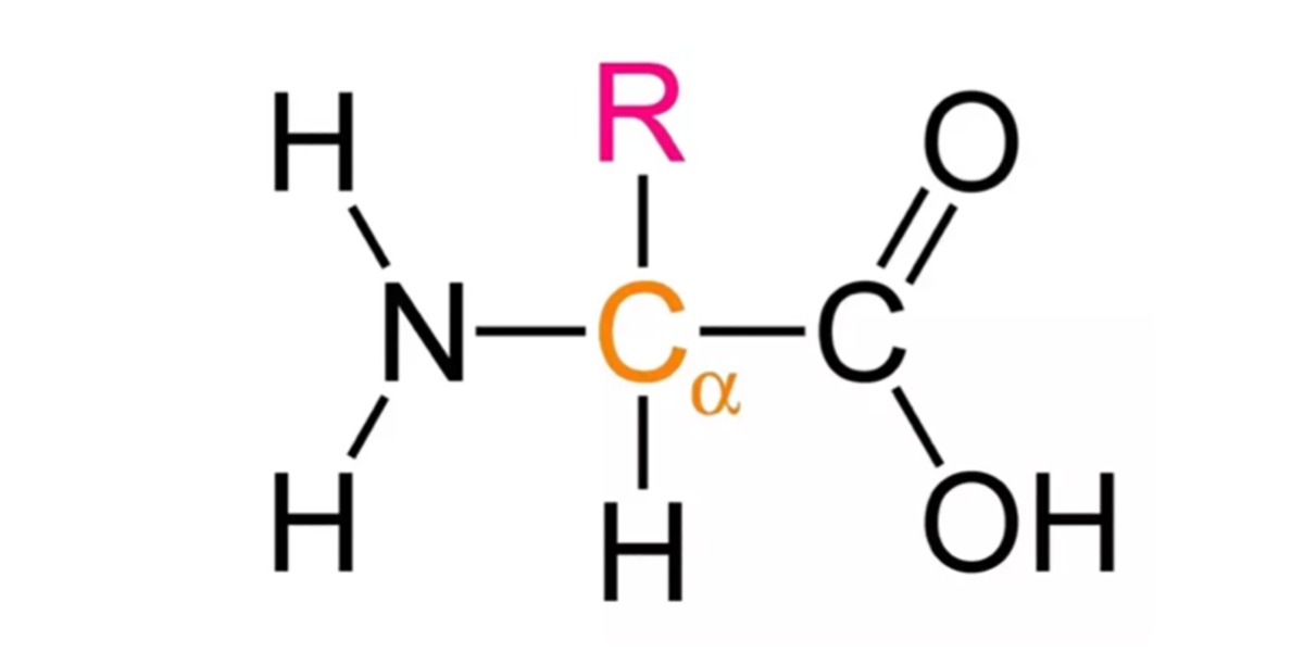 amino_acid