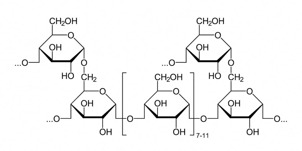 glycogen_structure