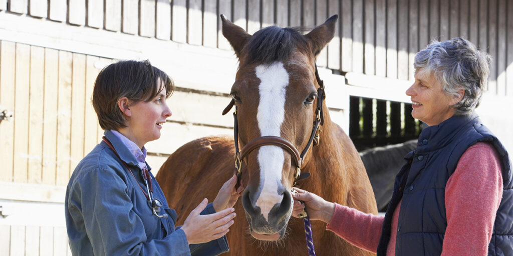 equine-vet