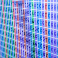 complete_genetic_profile1