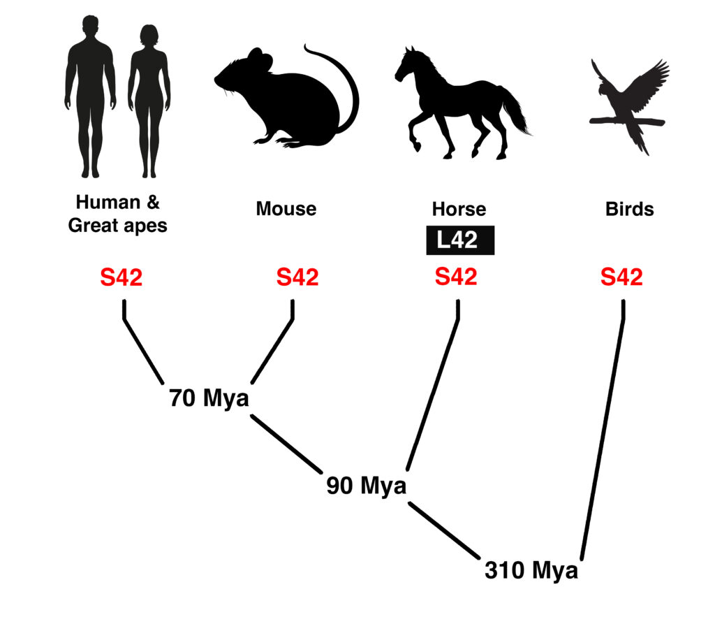 Figure4