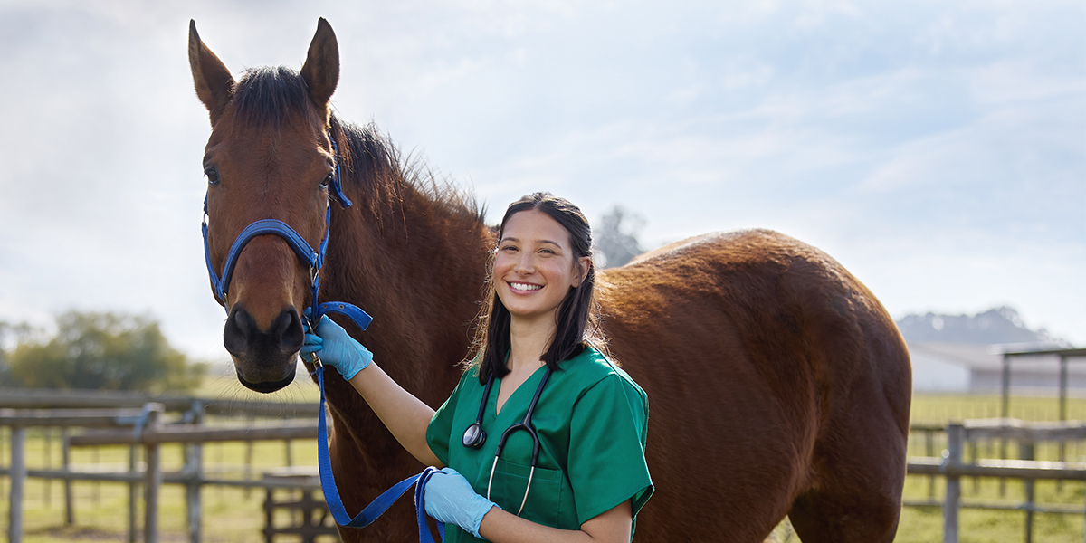 Veterinarian with a horse